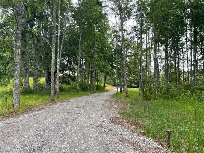 SITIO Opciones entre Villarrica, Loncoche y Gorbea