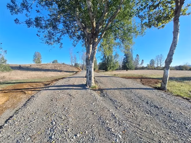 SITIO Opciones entre Villarrica, Loncoche y Gorbea