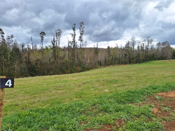 SITIO Opciones entre Villarrica, Loncoche y Gorbea