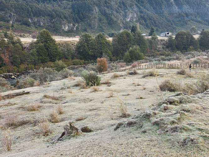 Tranquilidad y Naturaleza en Tu Parcela (165766)