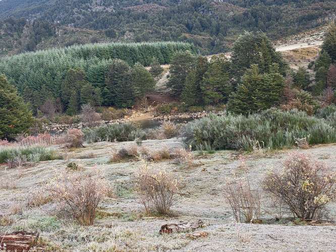 Tranquilidad y Naturaleza en Tu Parcela (165766)