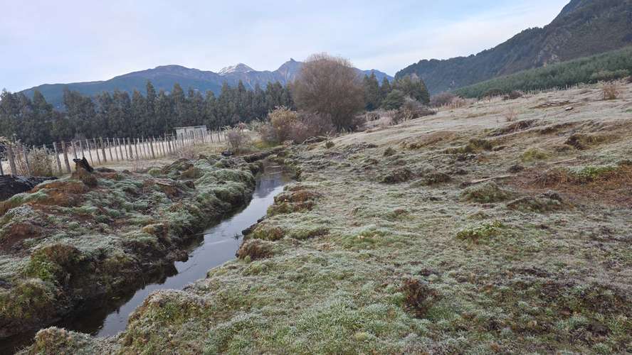 Tranquilidad y Naturaleza en Tu Parcela (165766)