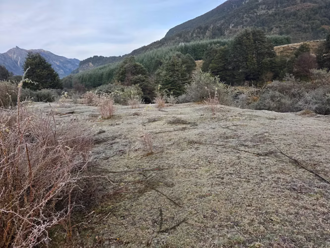 Inversión Segura en Entorno Natural (165766)