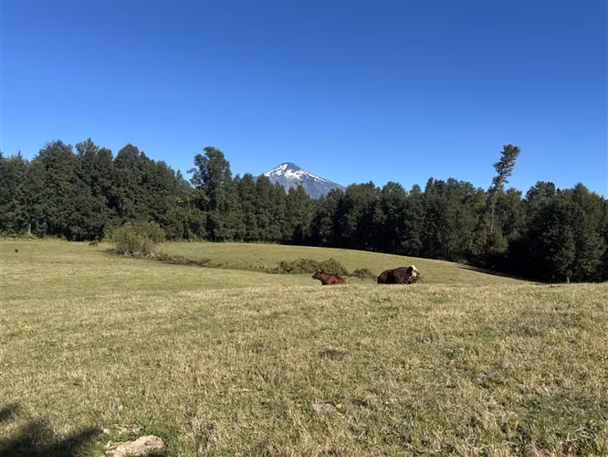 LOS RISCOS 1 HECTAREA - PARCELAS CON RIO Y VISTA AL VOLCÁN.