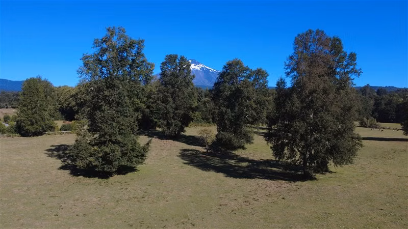 LOS RISCOS 1 HECTAREA - PARCELAS CON RIO Y VISTA AL VOLCÁN.