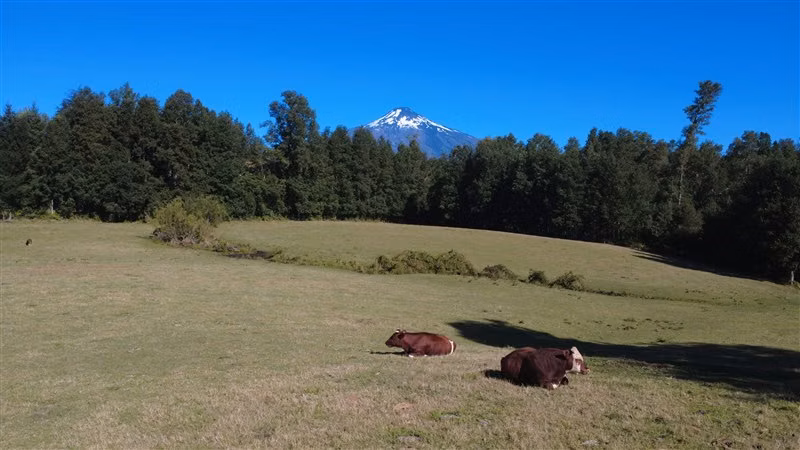 LOS RISCOS 1 HECTAREA - PARCELAS CON RIO Y VISTA AL VOLCÁN.