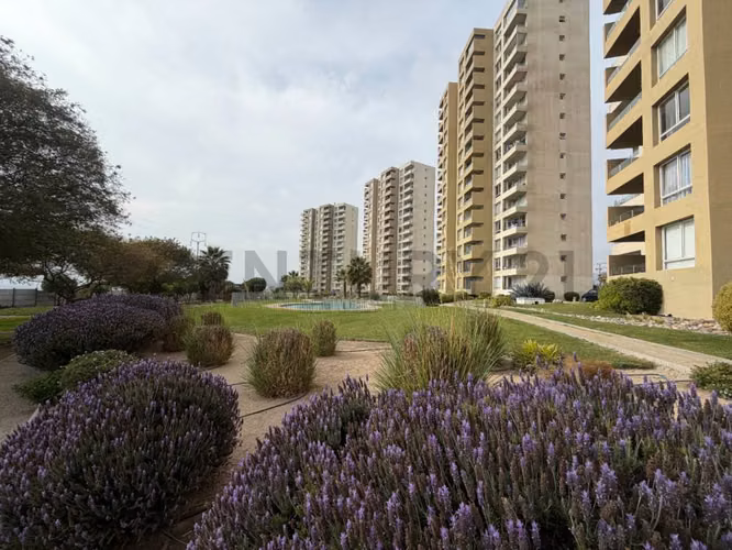Vendo departamento Condominio Las Palmas