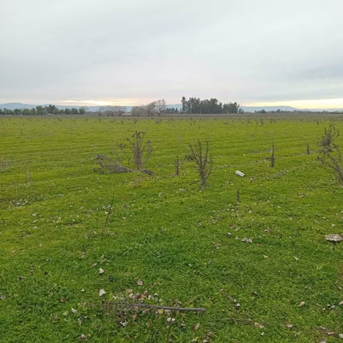 Inversión Segura en Entorno Natural y Tranqui (160103)