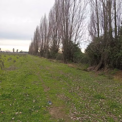 Inversión Segura en Entorno Natural y Tranqui (160103)