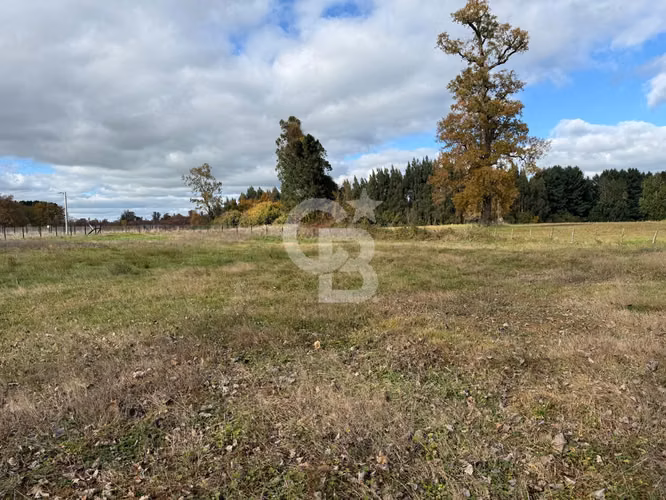Parcelas 5.000 m² cerca de Osorno