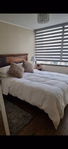 Arriendo departamento en Concepcion (Janequeo entre Carrera y Heras)
