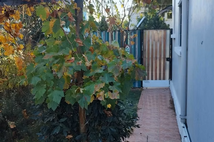 Muy buena casa - Imagen 4
