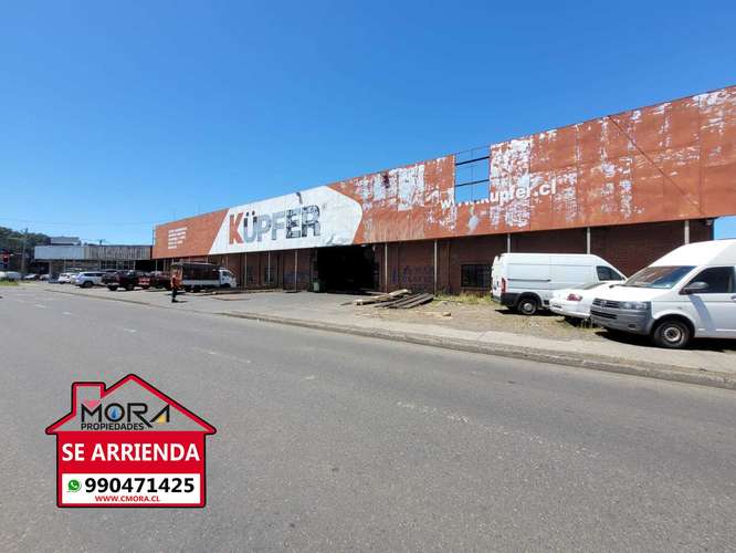 Bodega y local comercial Av.Caupolican (165957)