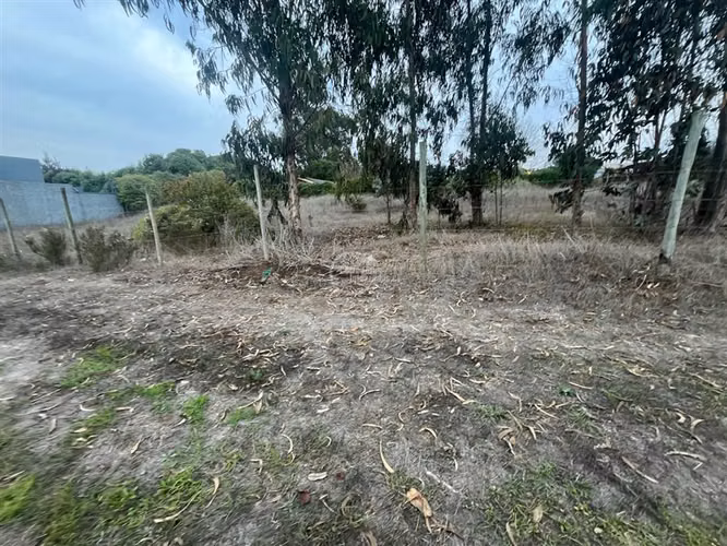 Sitio en venta en Santo Domingo