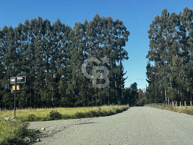 Parcelación a minutos del centro de Frutillar/Residencial