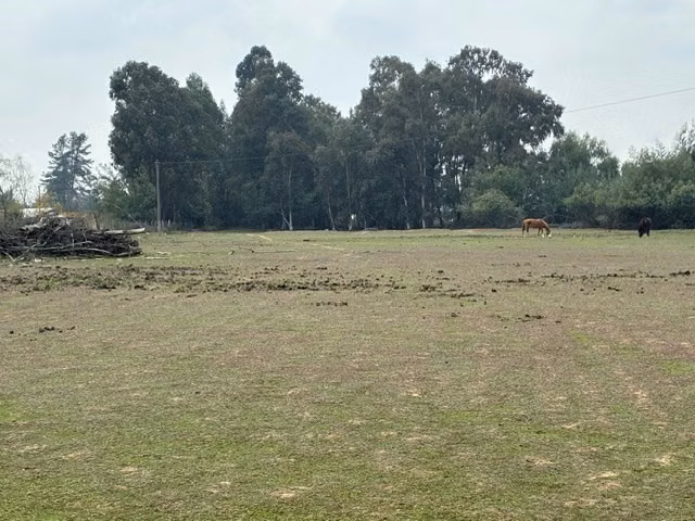 Sitio en venta en San Rafael Talca, para Bodegas,exportadora