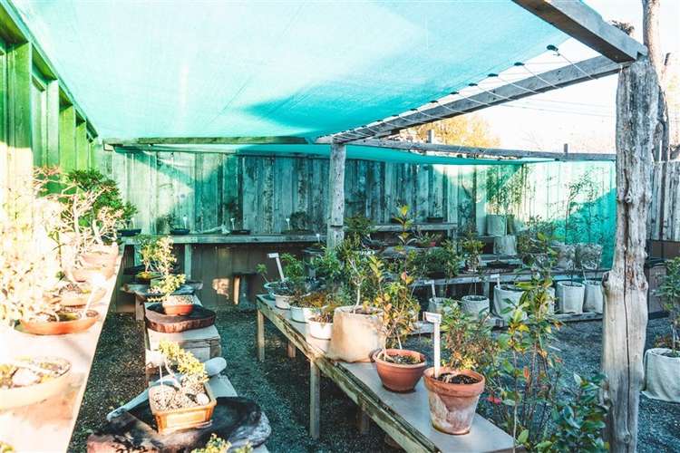 Local Comercial para proyecto o inversion venta en Natales