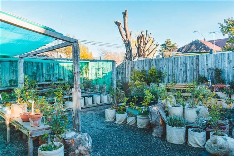 Local Comercial para proyecto o inversion venta en Natales