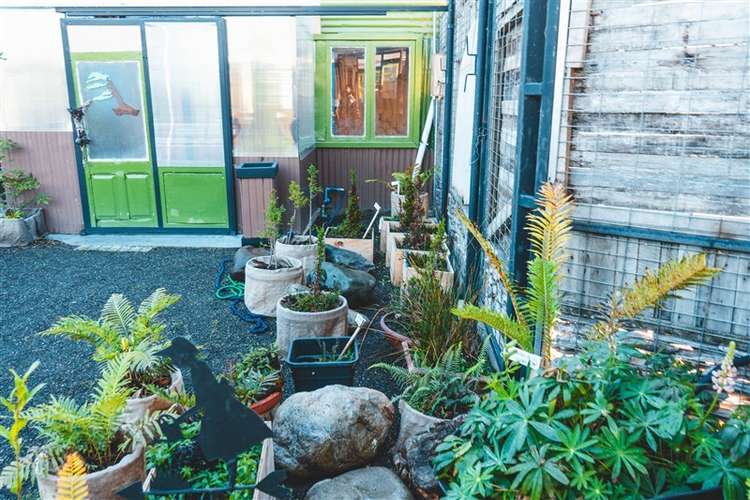 Local Comercial para proyecto o inversion venta en Natales