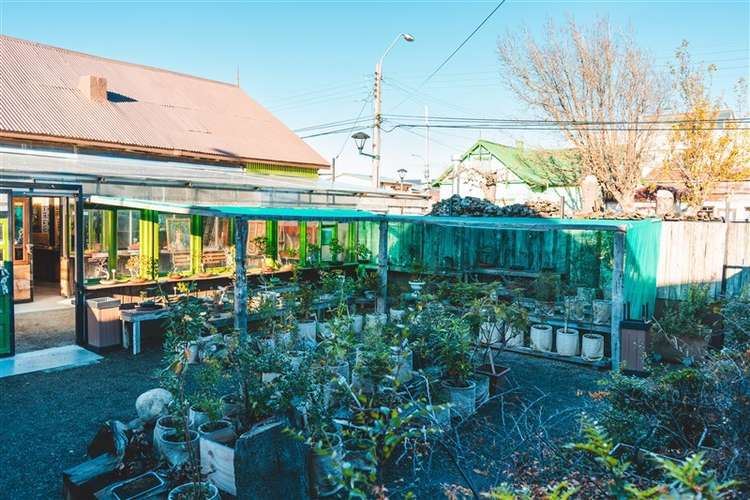 Local Comercial para proyecto o inversion venta en Natales