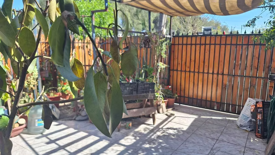 Vendo casa en Maipu de 162 Mts2 (166186)