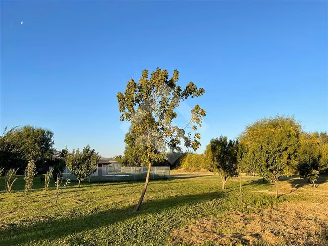 Parcela en arriendo en Talagante