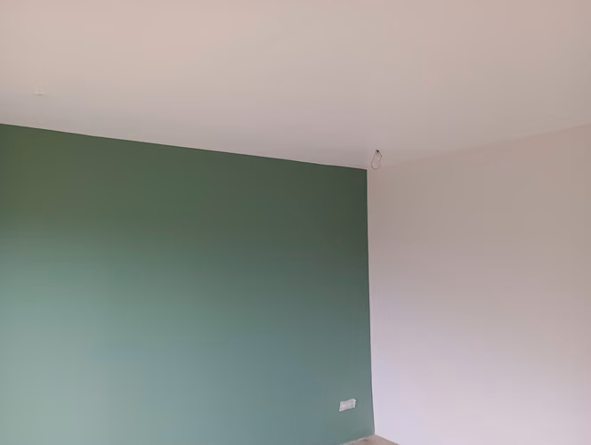 Se ofrece Maestro Pintor