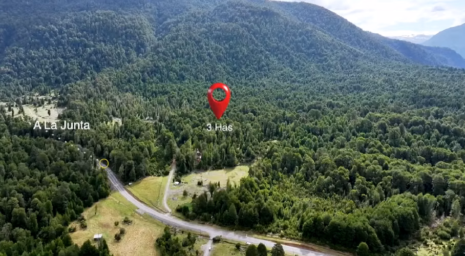INVIERTE EN 3 HECTAREAS DE BOSQUE NATIVO EN AYSÉN