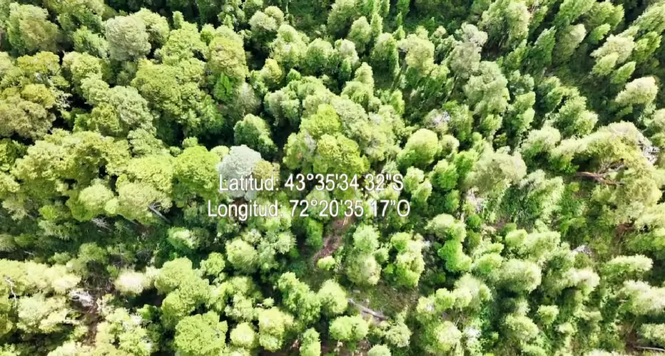 INVIERTE EN 3 HECTAREAS DE BOSQUE NATIVO EN AYSÉN