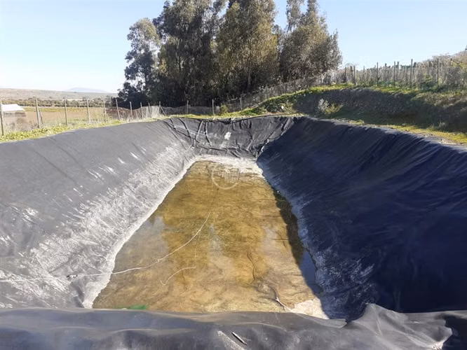 Agrícola en Longotoma con invernaderos y cultivo de Pistacho