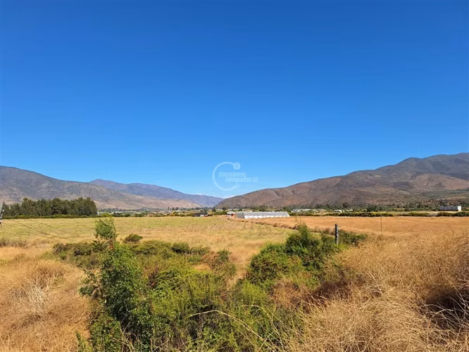 Agrícola en Longotoma con invernaderos y cultivo de Pistacho