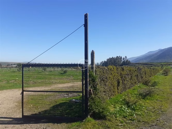 Agrícola en Longotoma con invernaderos y cultivo de Pistacho