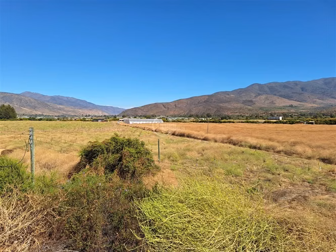 Agrícola en Longotoma con invernaderos y cultivo de Pistacho