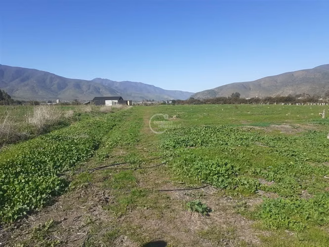Agrícola en Longotoma con invernaderos y cultivo de Pistacho