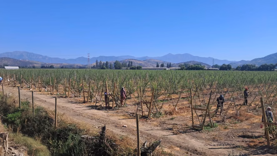 10 Km de Ruta Sur  5 (166381) - Imagen 3