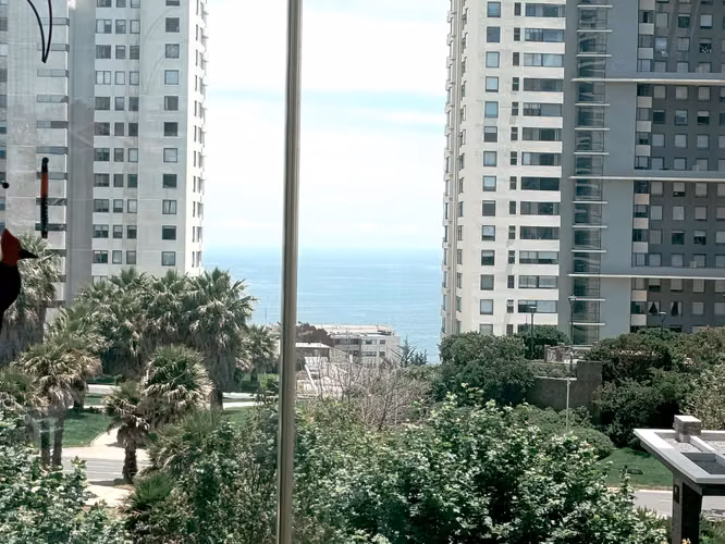Oportunidad en Costa de Montemar: 2D/2B, Suite y Excelente Ubicación