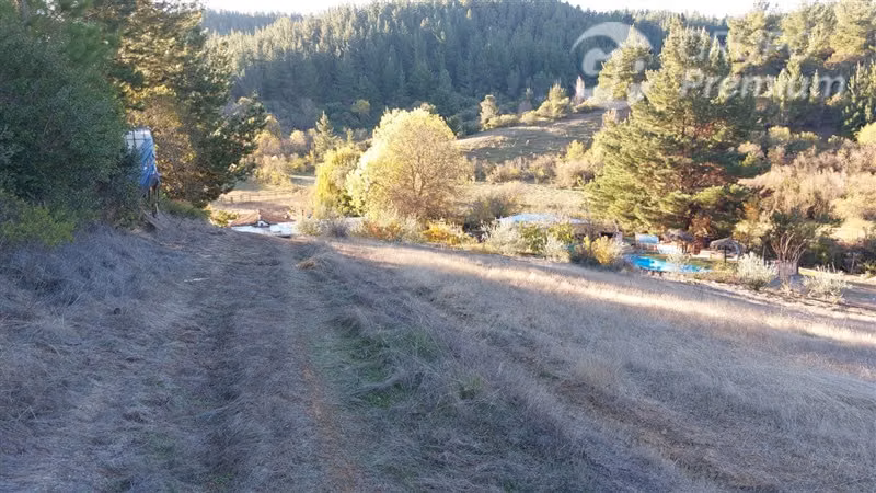Parcela en venta en Cauquenes
