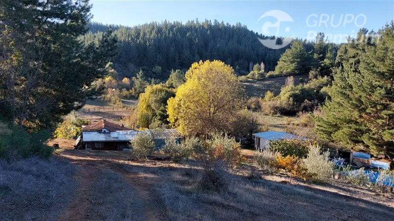 Parcela en venta en Cauquenes