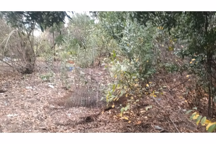 "oportunidad única: terreno en chiguayante 2209m²"