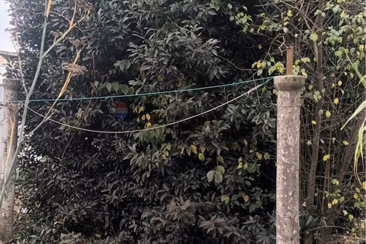"oportunidad única: terreno en chiguayante 2209m²"