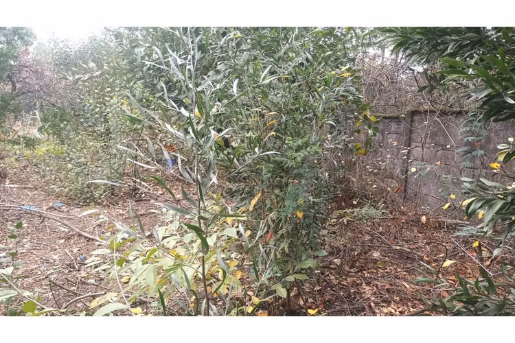 "oportunidad única: terreno en chiguayante 2209m²"