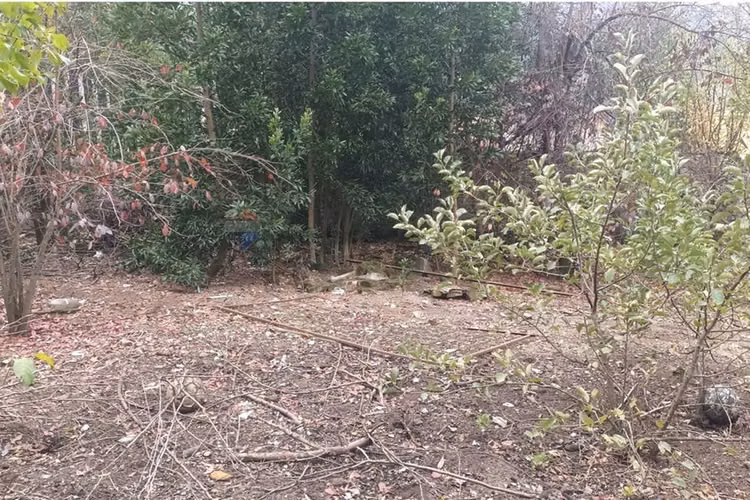 "oportunidad única: terreno en chiguayante 2209m²"