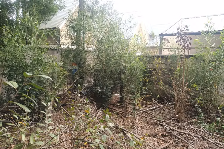 "oportunidad única: terreno en chiguayante 2209m²"