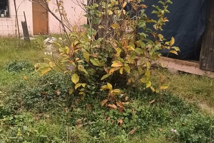 "oportunidad única: terreno en chiguayante 2209m²"