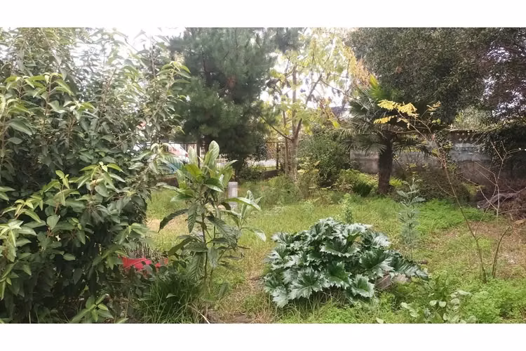 "oportunidad única: terreno en chiguayante 2209m²"