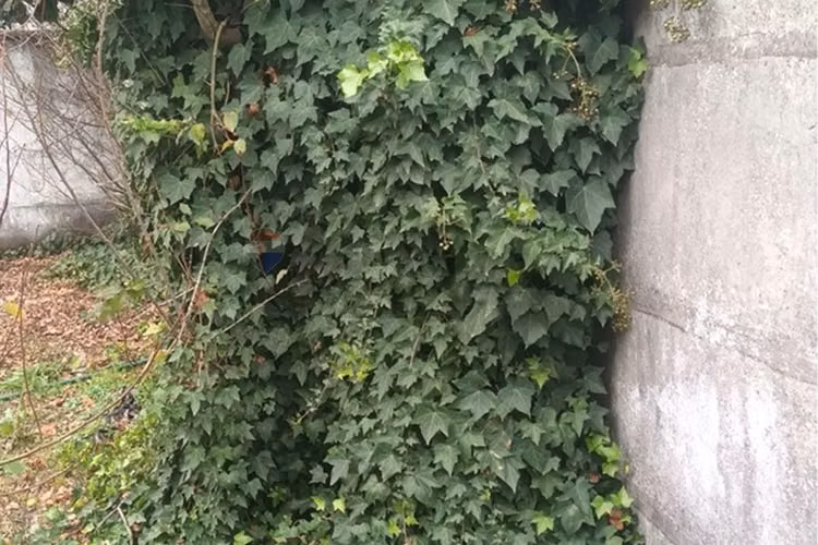 "oportunidad única: terreno en chiguayante 2209m²"
