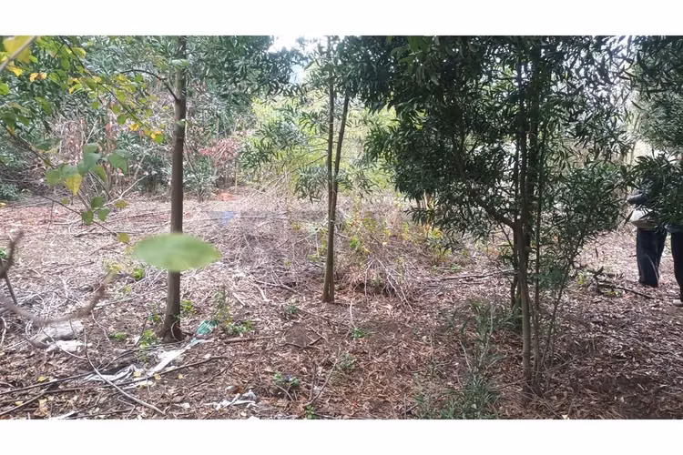 "oportunidad única: terreno en chiguayante 2209m²"