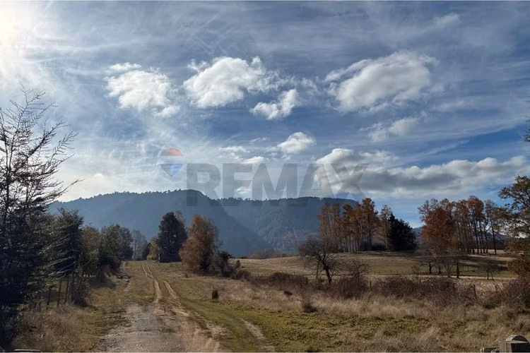 Venta terreno 11400 m2 cerca de lican ray