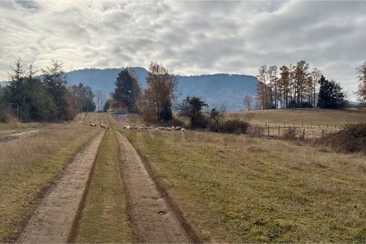 Venta terreno 11400 m2 cerca de lican ray