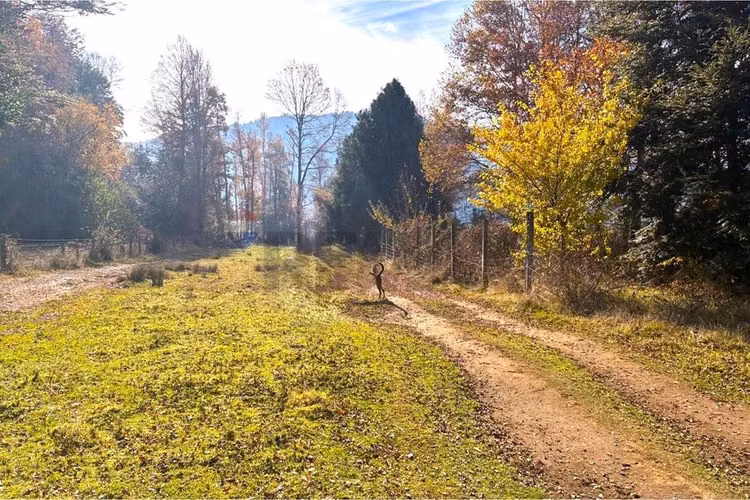 Venta terreno 11400 m2 cerca de lican ray